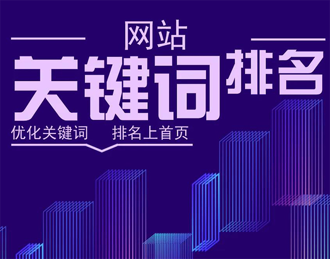 庆阳SEO排名优化实战指南提高网站流量